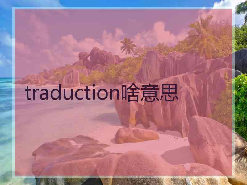 traduction啥意思