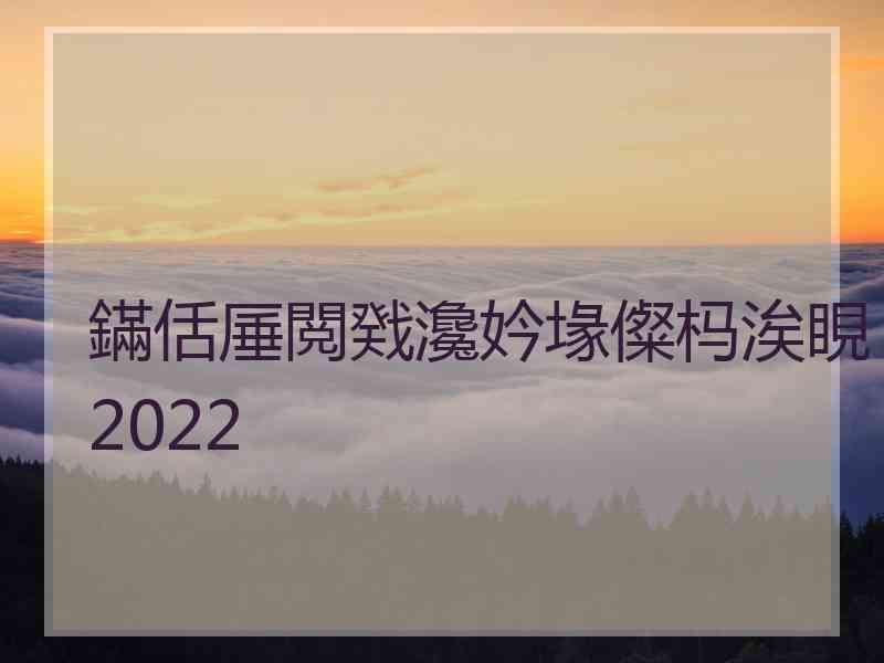 鏋佸厜閲戣瀺妗堟儏杩涘睍2022