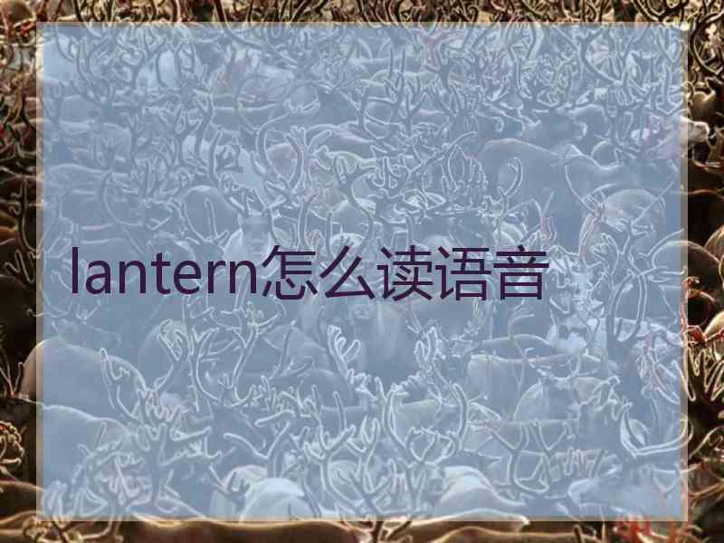 lantern怎么读语音