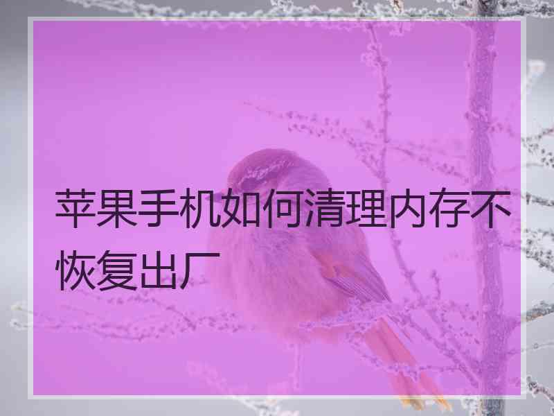 苹果手机如何清理内存不恢复出厂