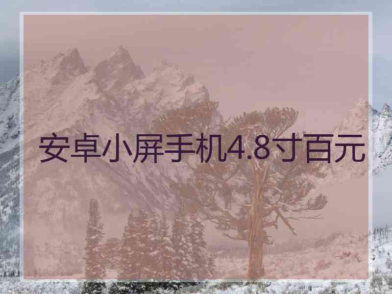 安卓小屏手机4.8寸百元