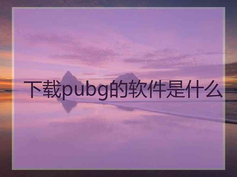 下载pubg的软件是什么