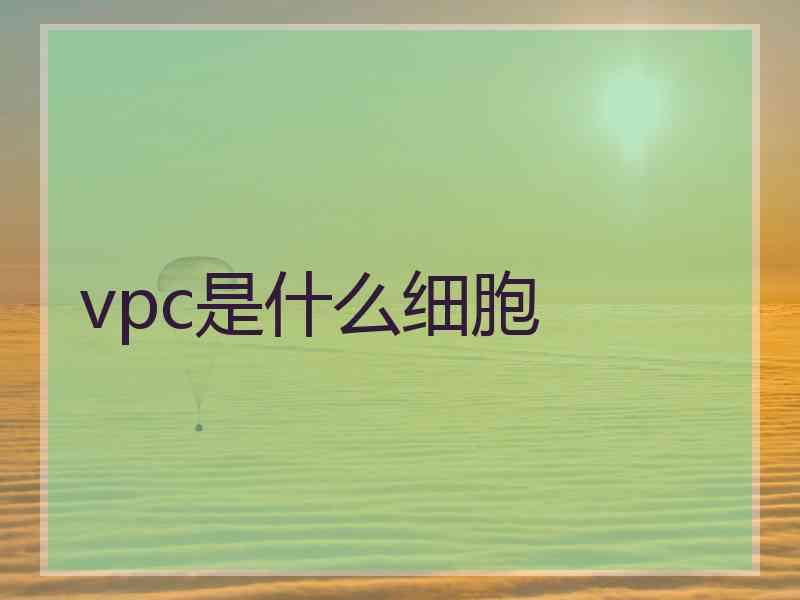 vpc是什么细胞