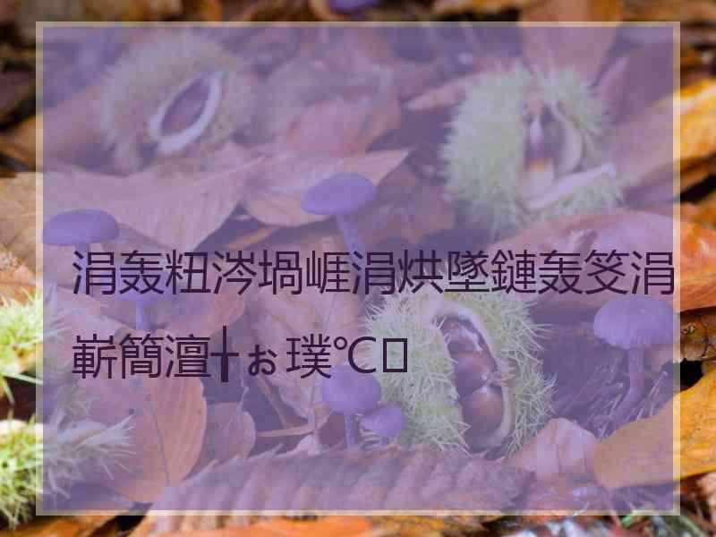 涓轰粈涔堝崕涓烘墜鏈轰笅涓嶄簡澶╁ぉ璞℃