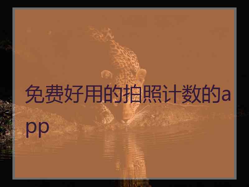 免费好用的拍照计数的app