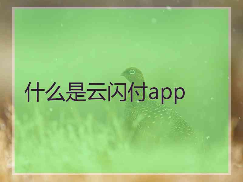 什么是云闪付app