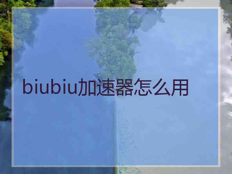 biubiu加速器怎么用