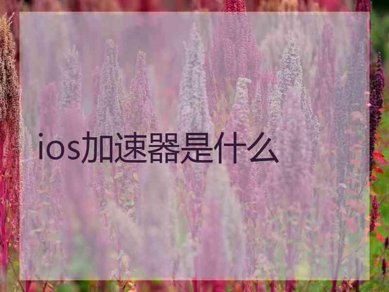 ios加速器是什么