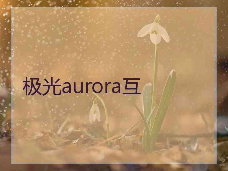 极光aurora互