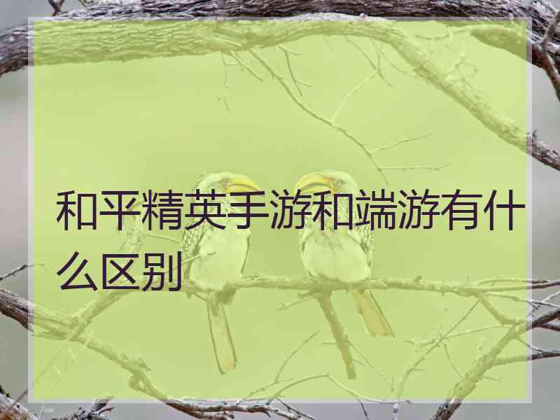 和平精英手游和端游有什么区别