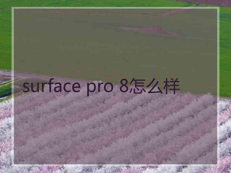 surface pro 8怎么样