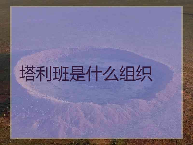 塔利班是什么组织