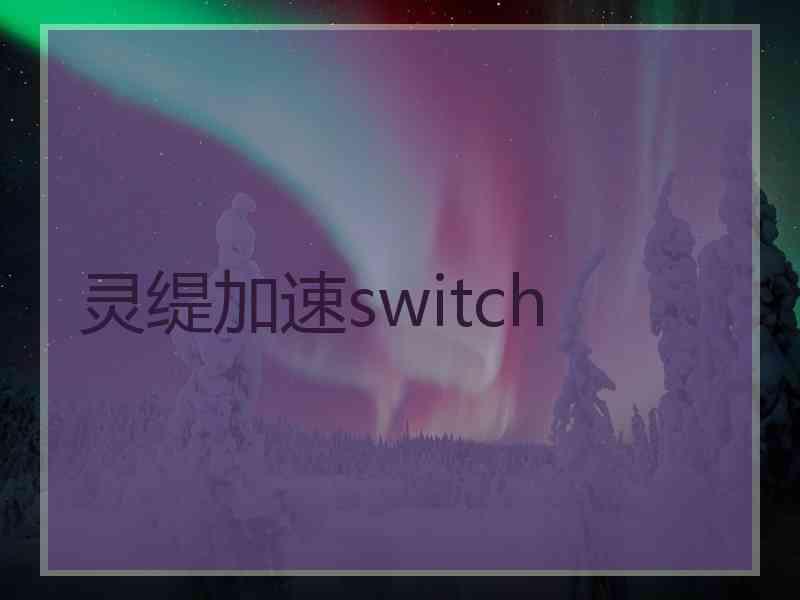 灵缇加速switch