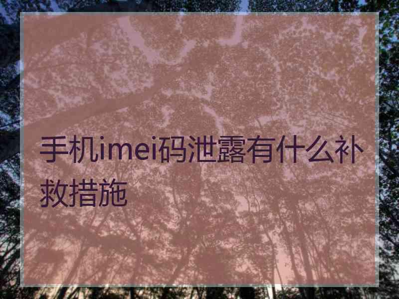 手机imei码泄露有什么补救措施