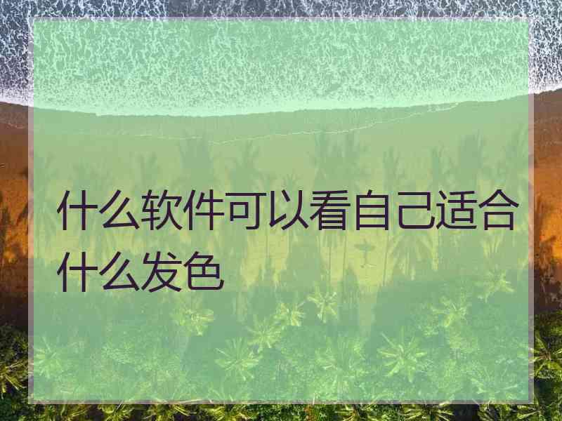 什么软件可以看自己适合什么发色