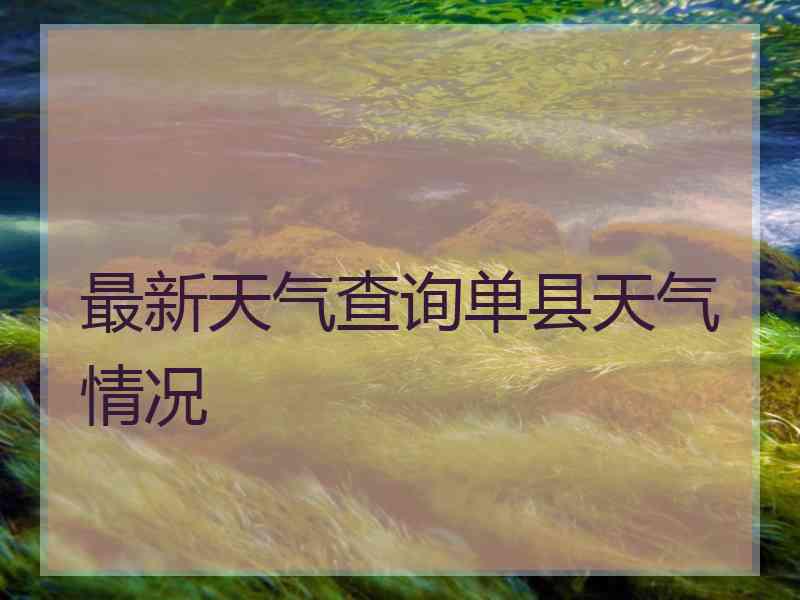 最新天气查询单县天气情况