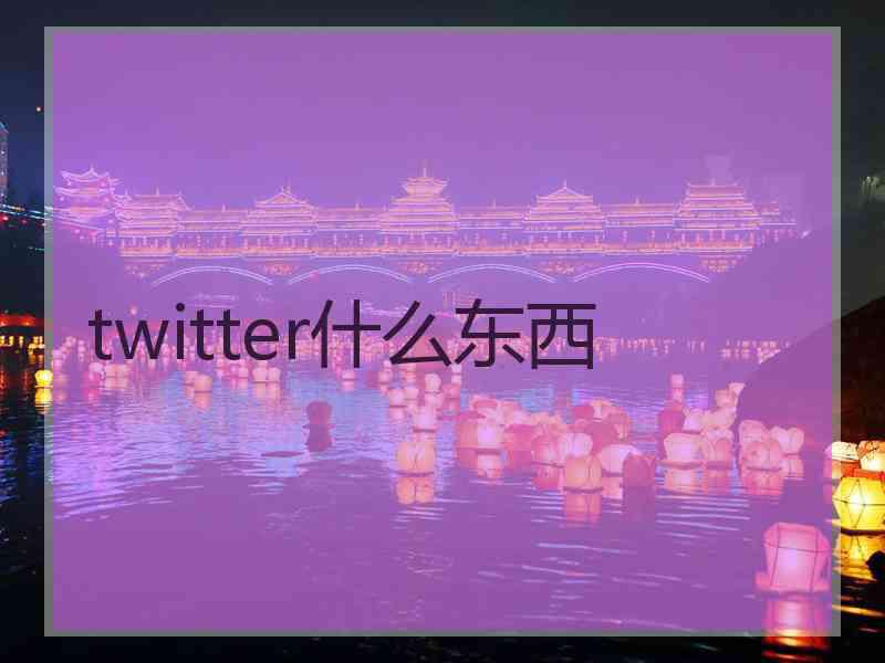 twitter什么东西