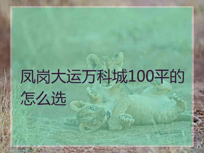 凤岗大运万科城100平的怎么选