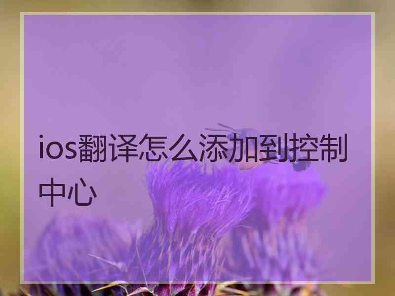 ios翻译怎么添加到控制中心