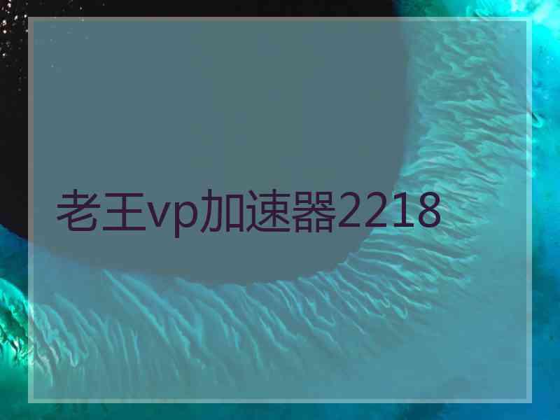 老王vp加速器2218