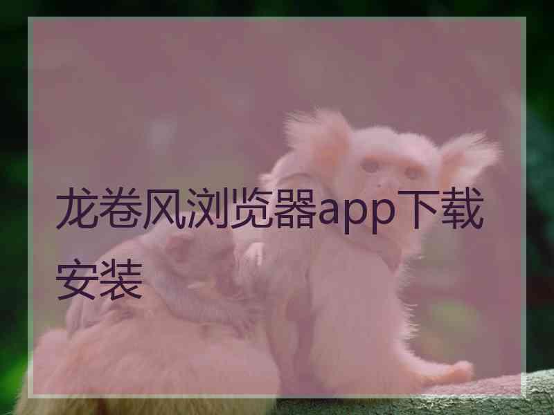 龙卷风浏览器app下载安装