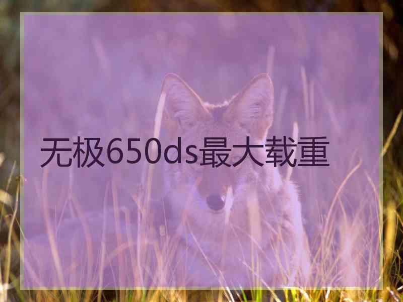 无极650ds最大载重