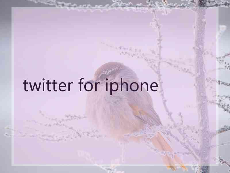 twitter for iphone