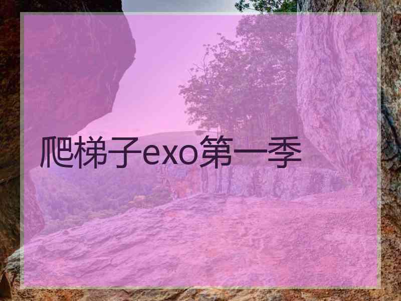 爬梯子exo第一季