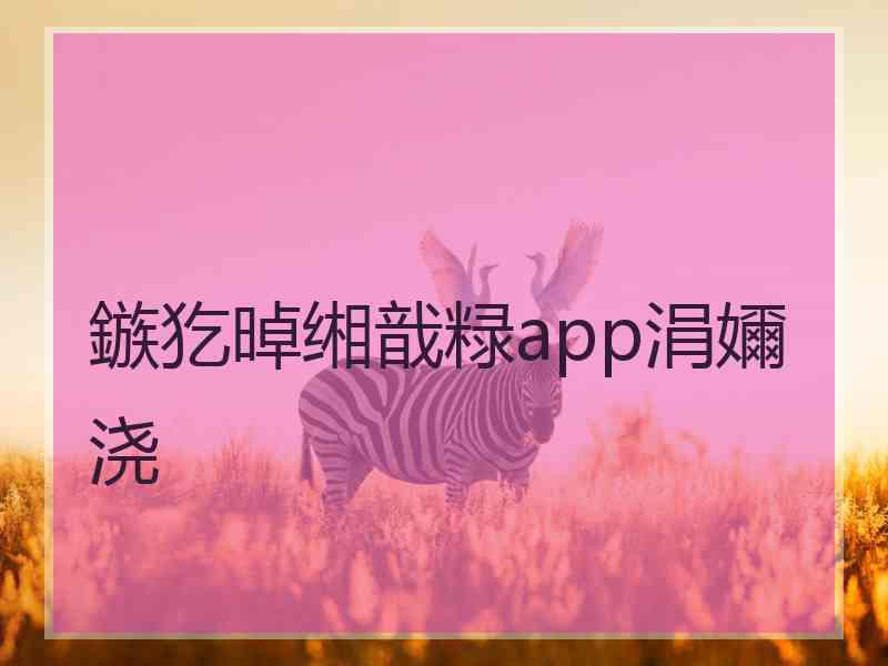 鏃犵晫缃戠粶app涓嬭浇