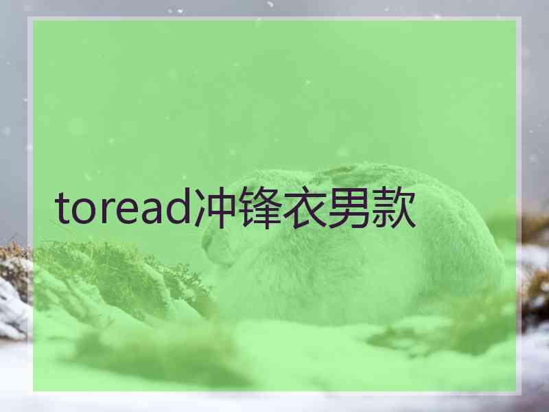 toread冲锋衣男款