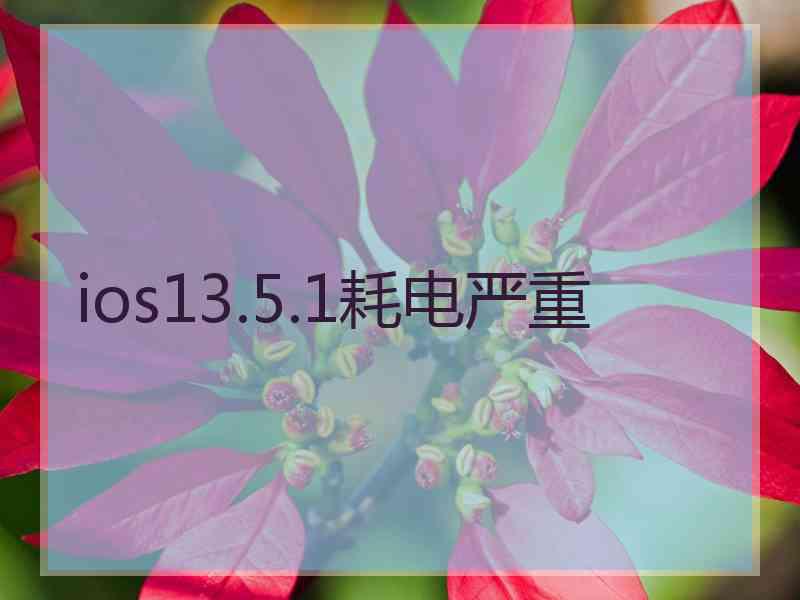 ios13.5.1耗电严重