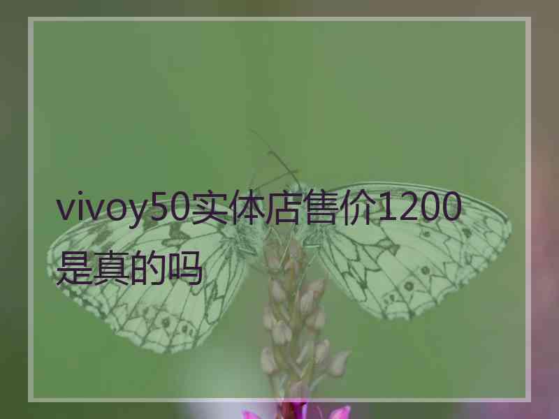 vivoy50实体店售价1200是真的吗