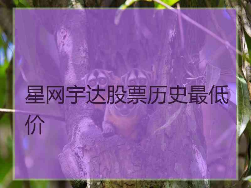 星网宇达股票历史最低价