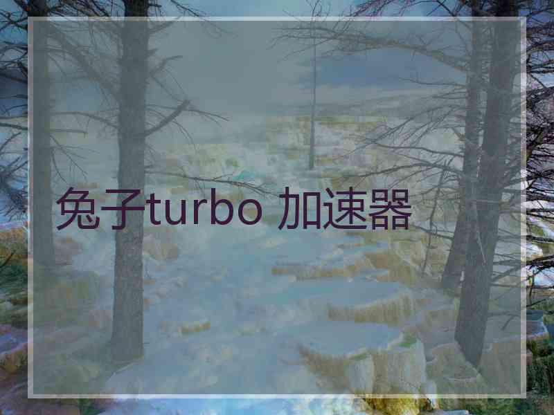 兔子turbo 加速器