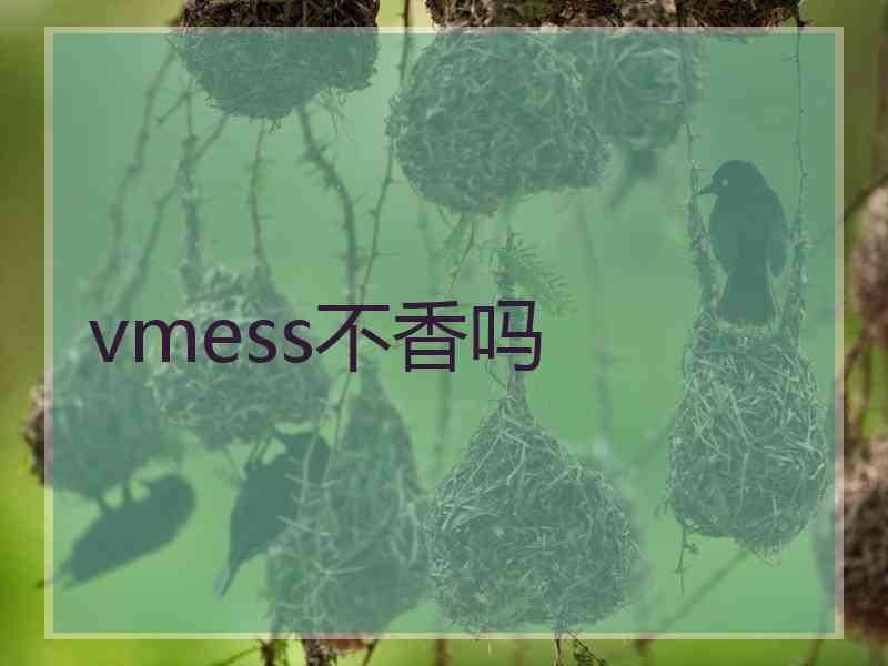 vmess不香吗