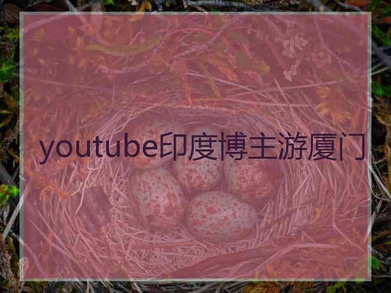 youtube印度博主游厦门