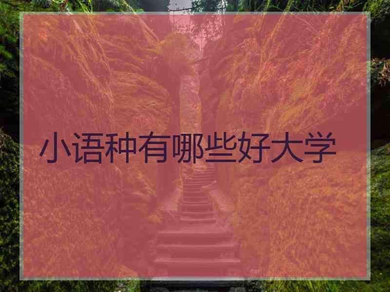 小语种有哪些好大学