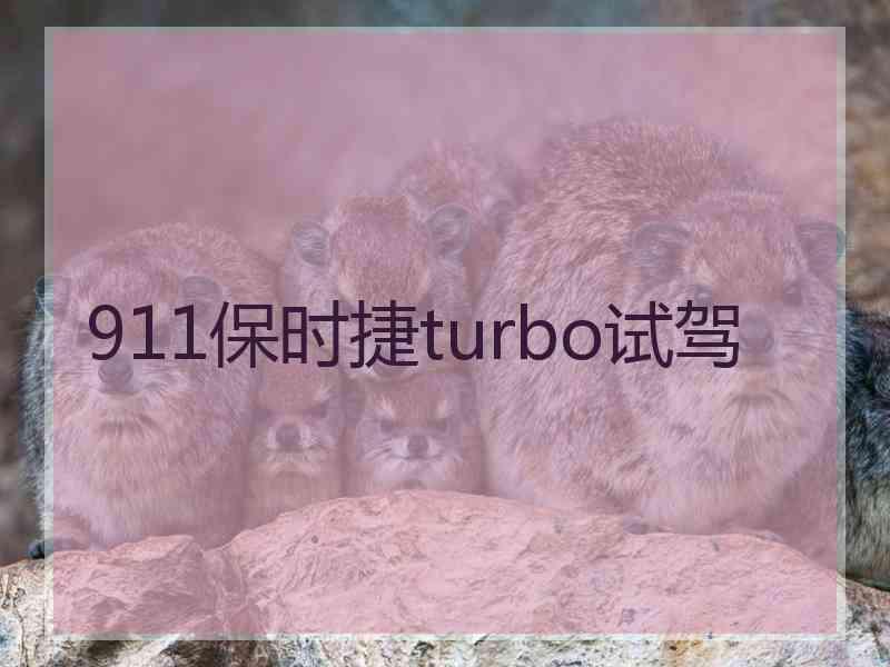 911保时捷turbo试驾