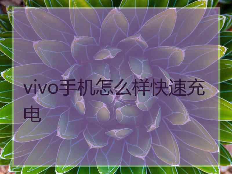 vivo手机怎么样快速充电