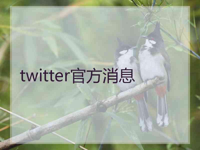 twitter官方消息