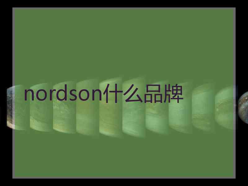 nordson什么品牌