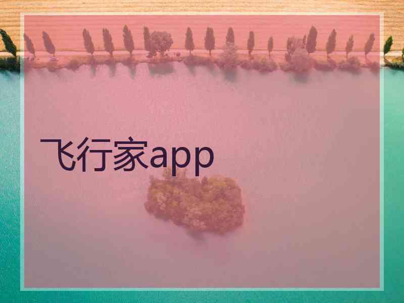 飞行家app