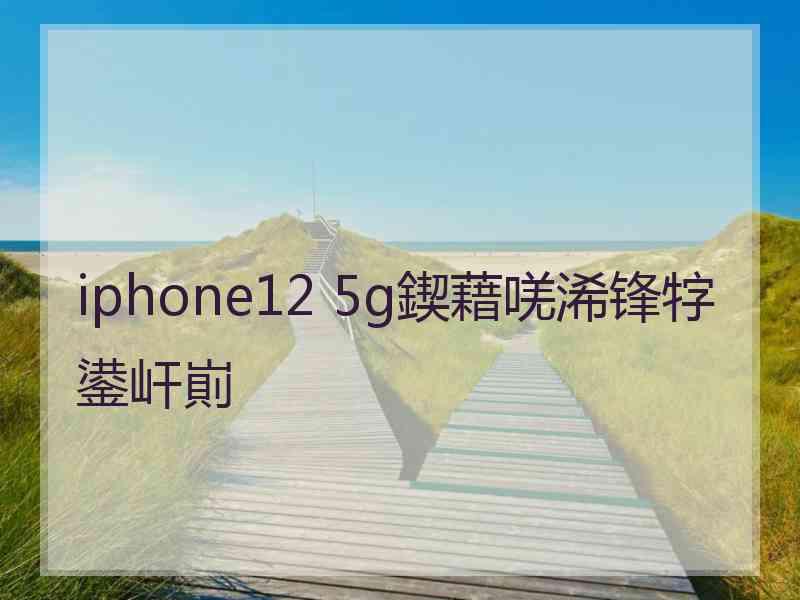 iphone12 5g鍥藉唴浠锋牸鍙屽崱