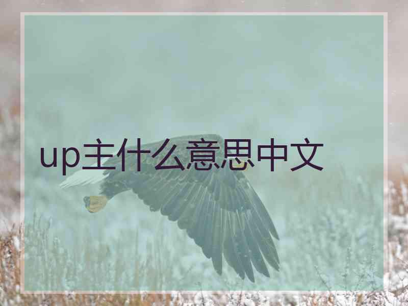 up主什么意思中文