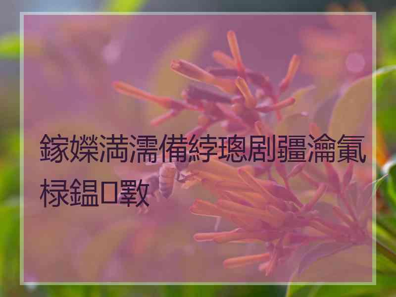 鎵嬫満濡備綍璁剧疆瀹氭椂鎾斁