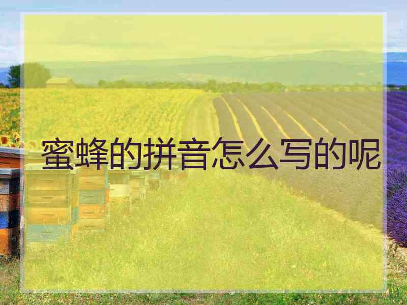 蜜蜂的拼音怎么写的呢