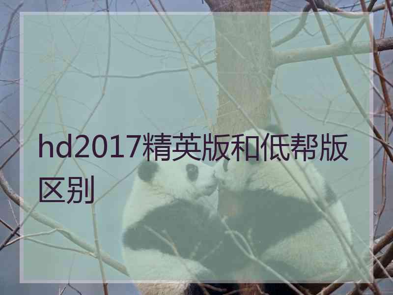 hd2017精英版和低帮版区别