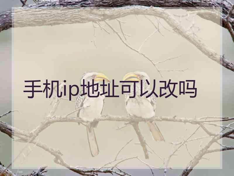 手机ip地址可以改吗