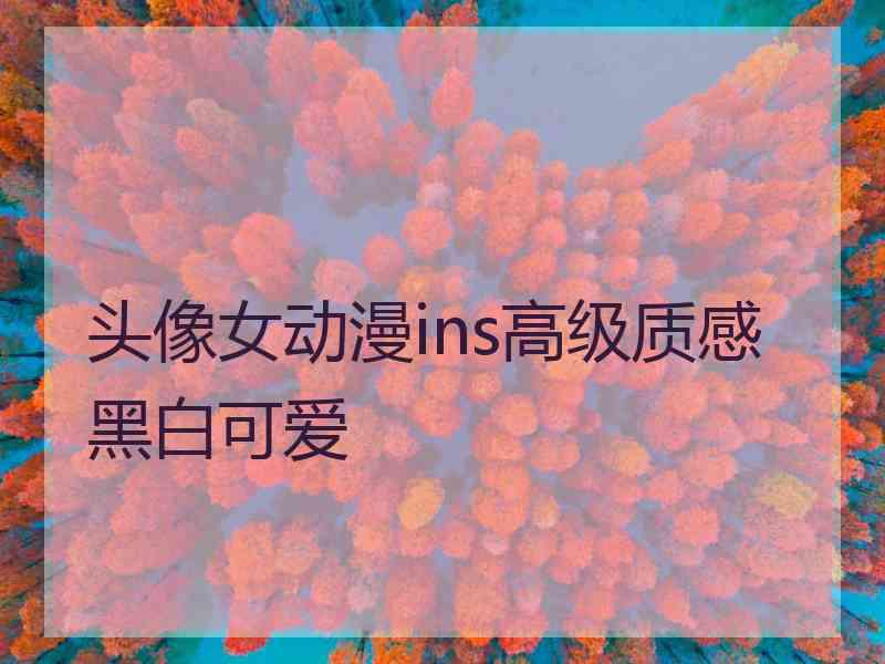 头像女动漫ins高级质感黑白可爱