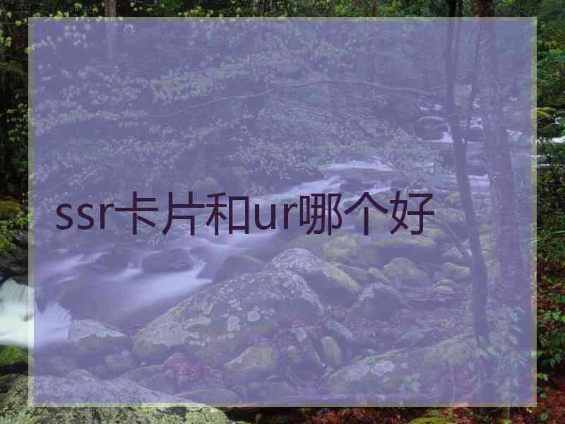 ssr卡片和ur哪个好